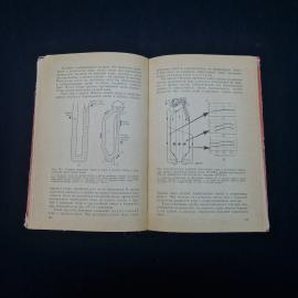 Картинка 4