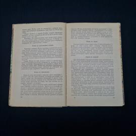 Картинка 4