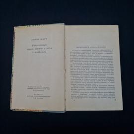 Картинка 5