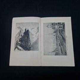 Картинка 4