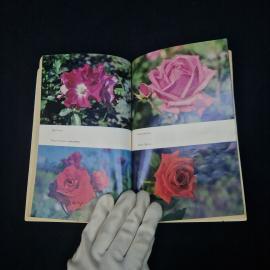 Картинка 4