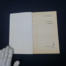 Картинка 5