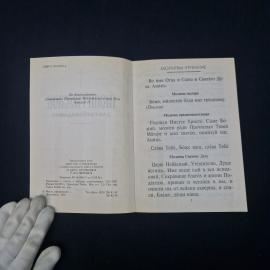 Картинка 5