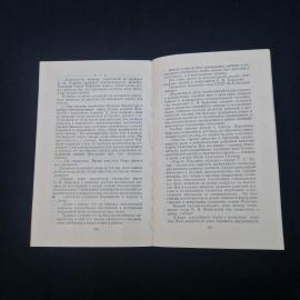 Картинка 4