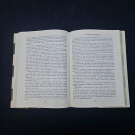 Картинка 4