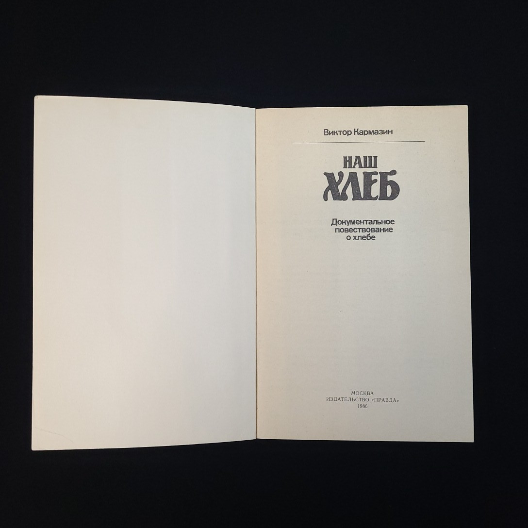 Картинка 4