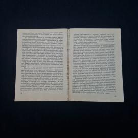 Картинка 4