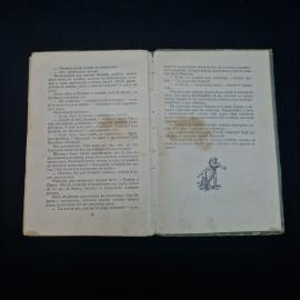 Картинка 3