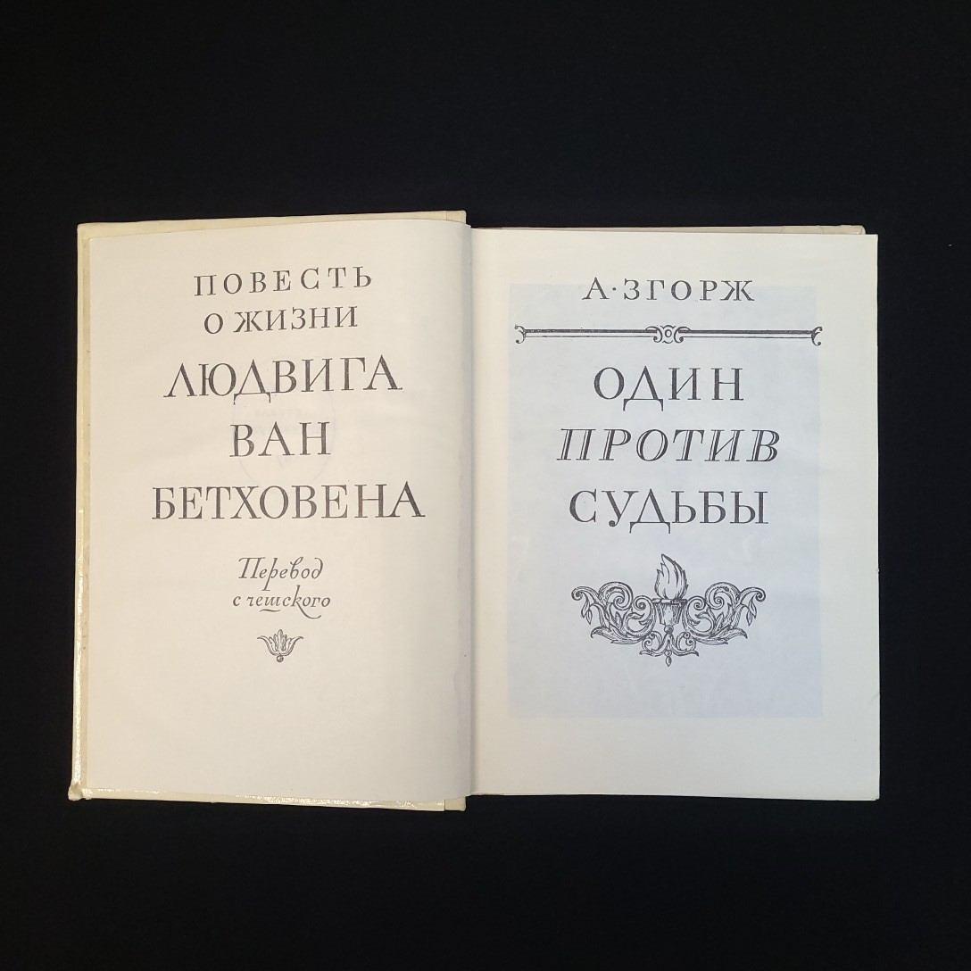 Картинка 4