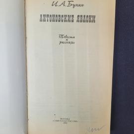 Картинка 4