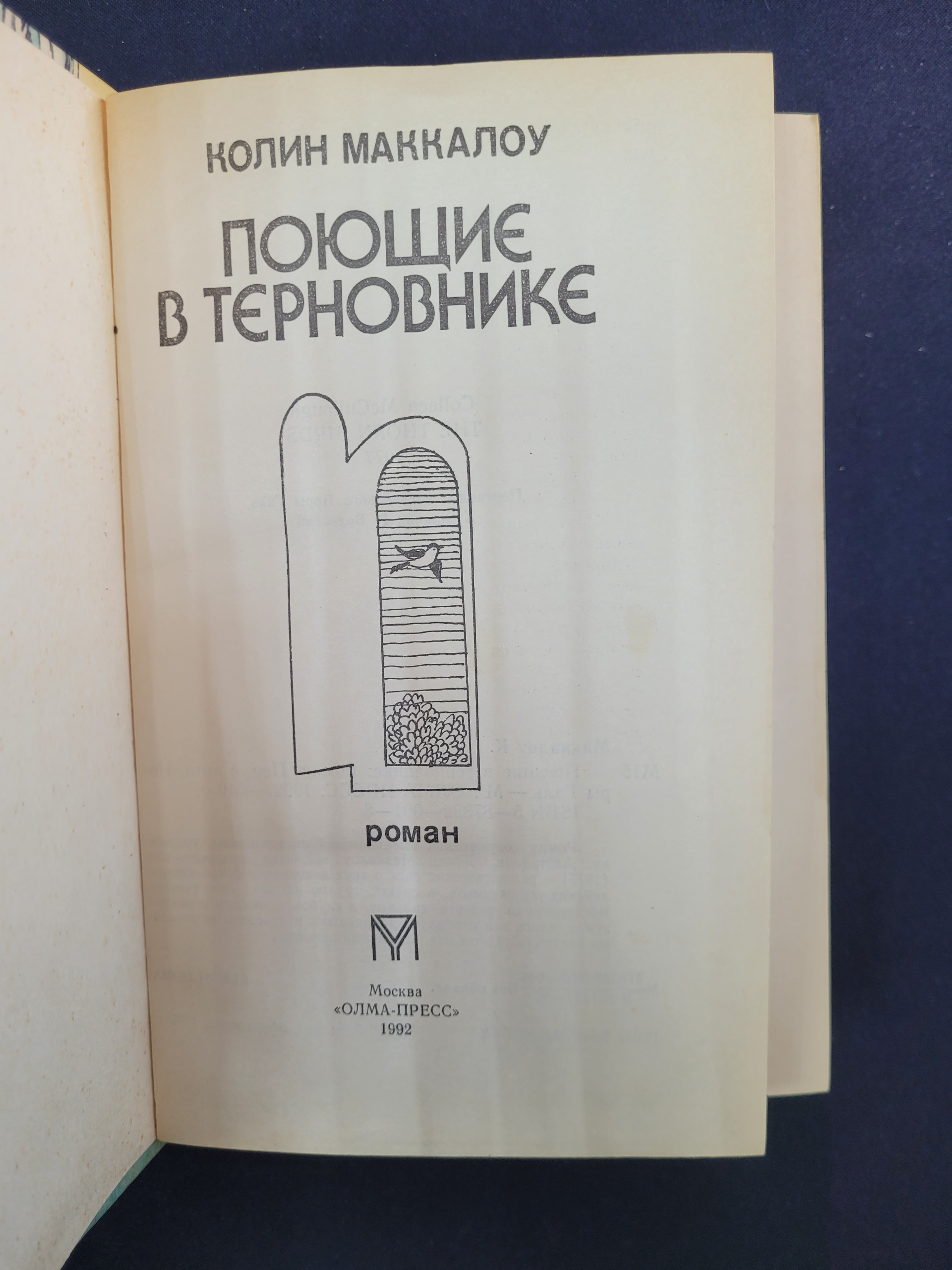 Картинка 4