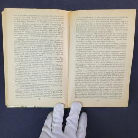 Картинка 5