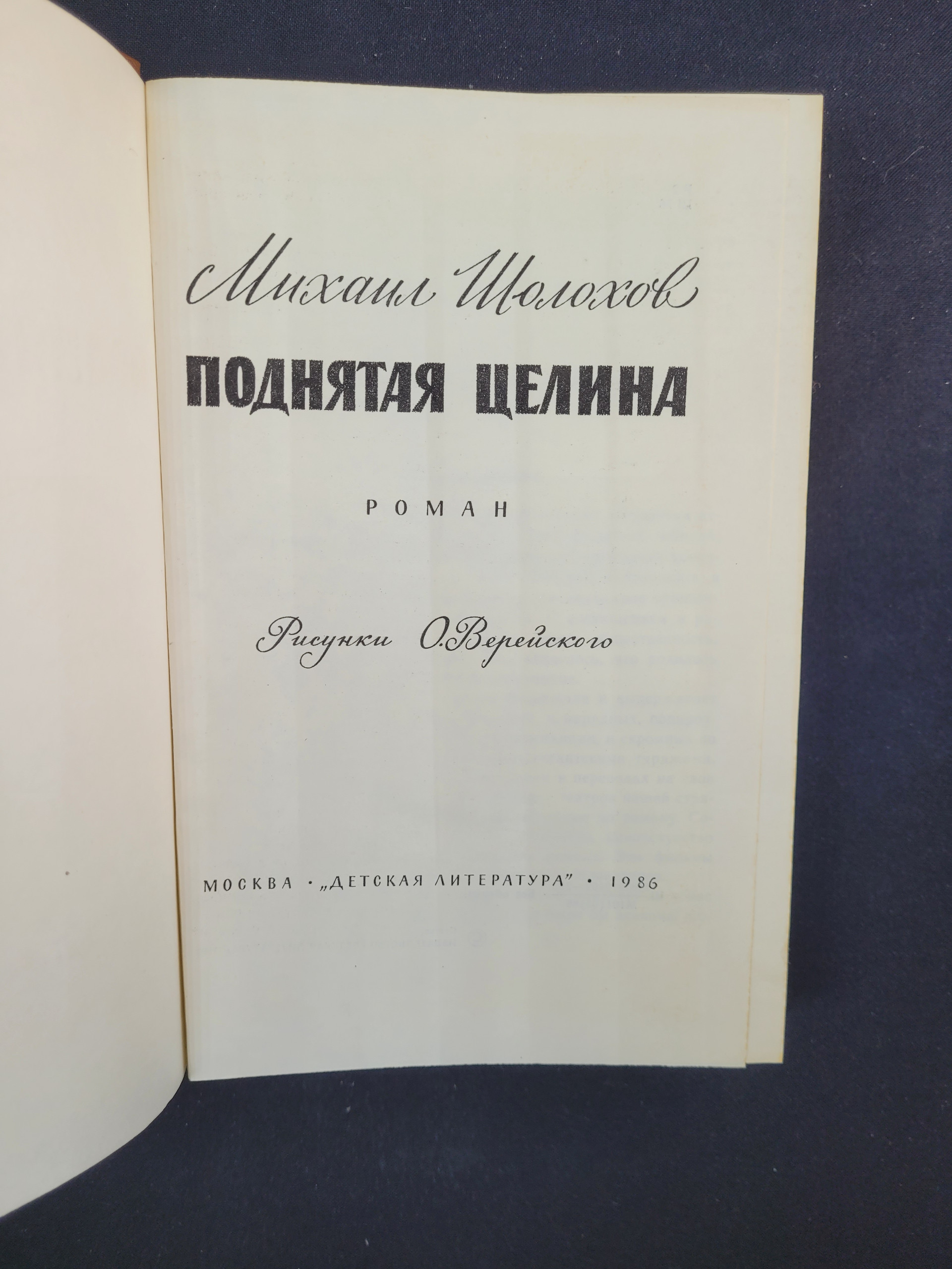 Картинка 4