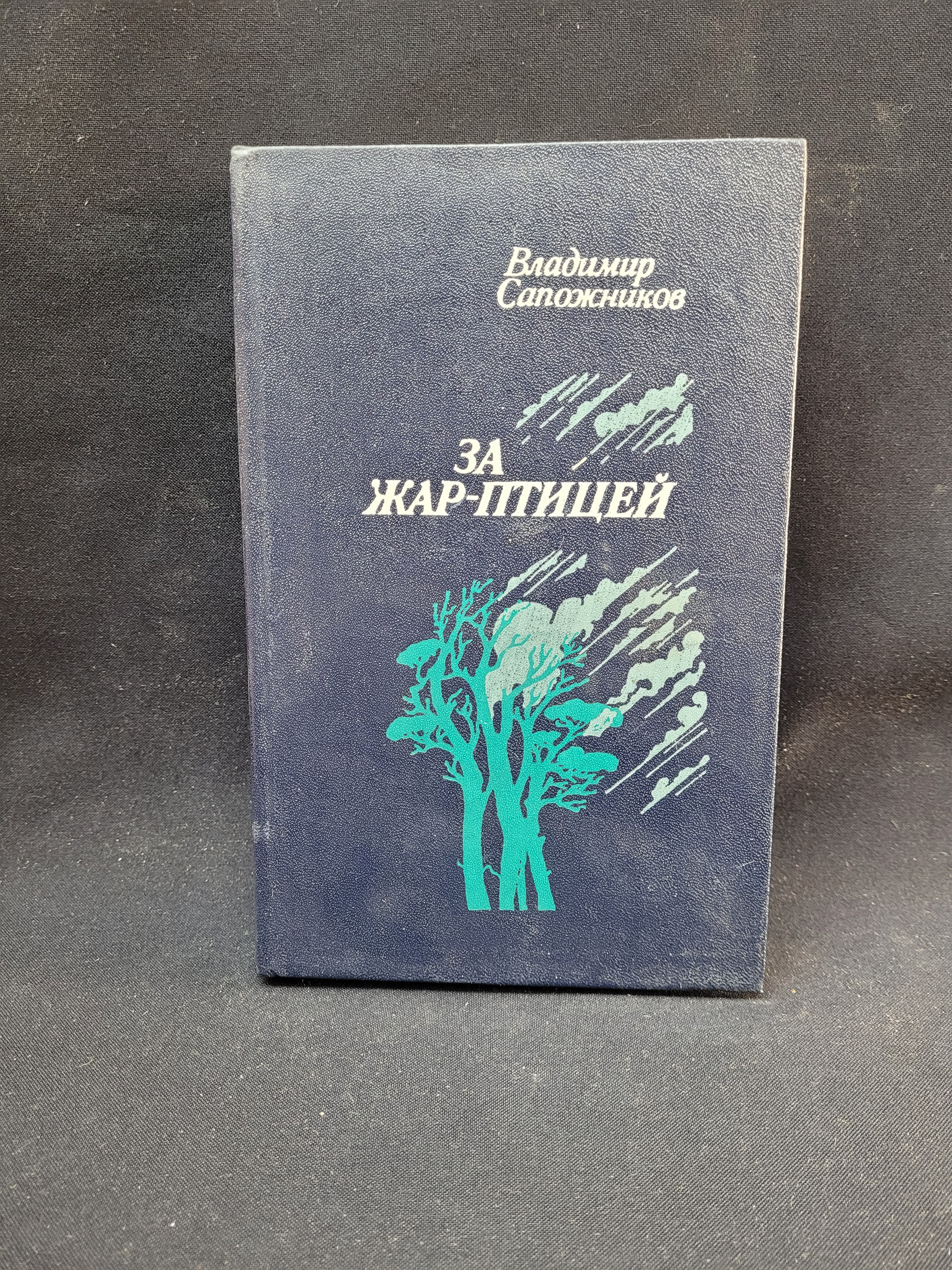 Картинка 1