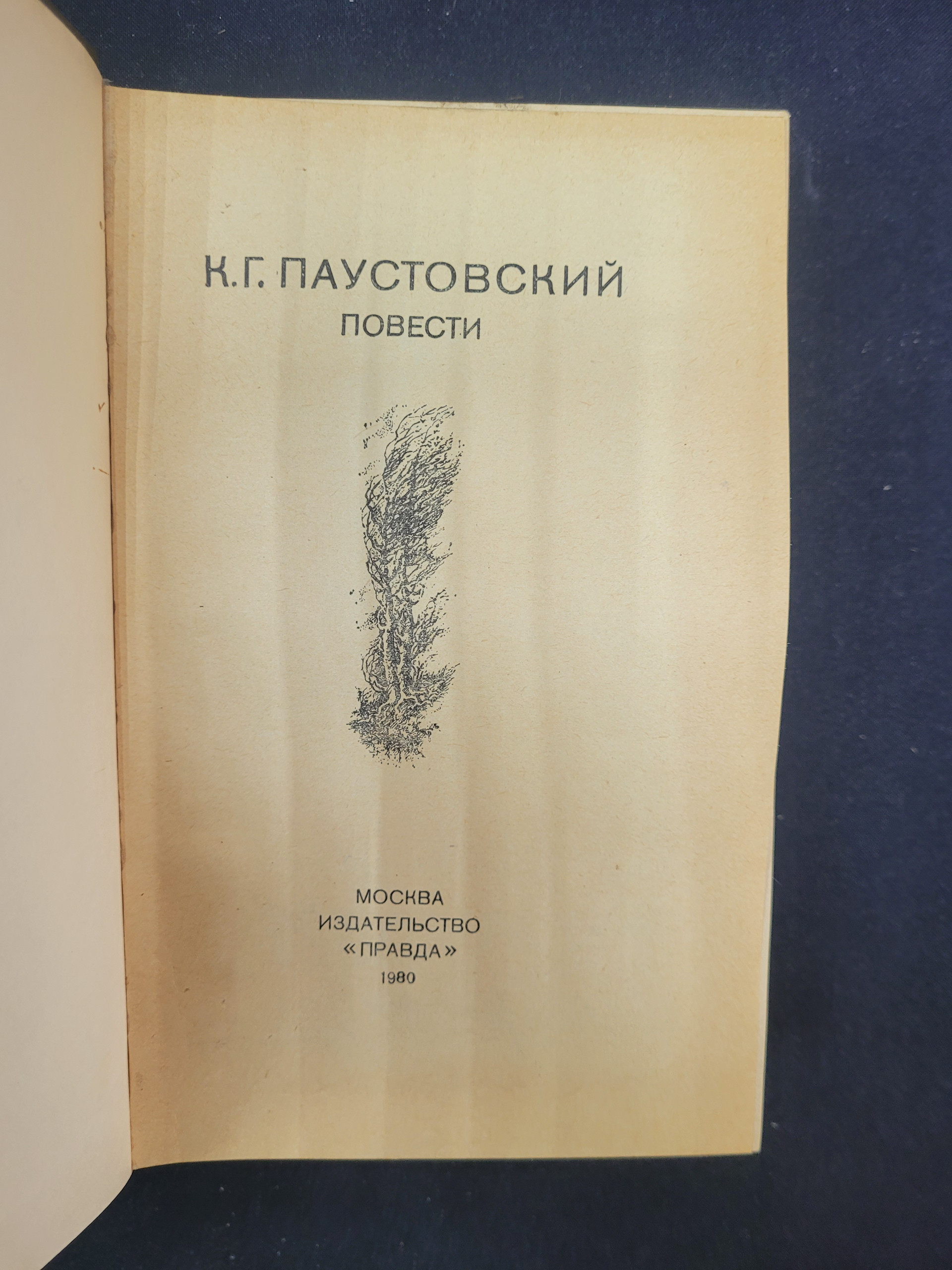 Картинка 4