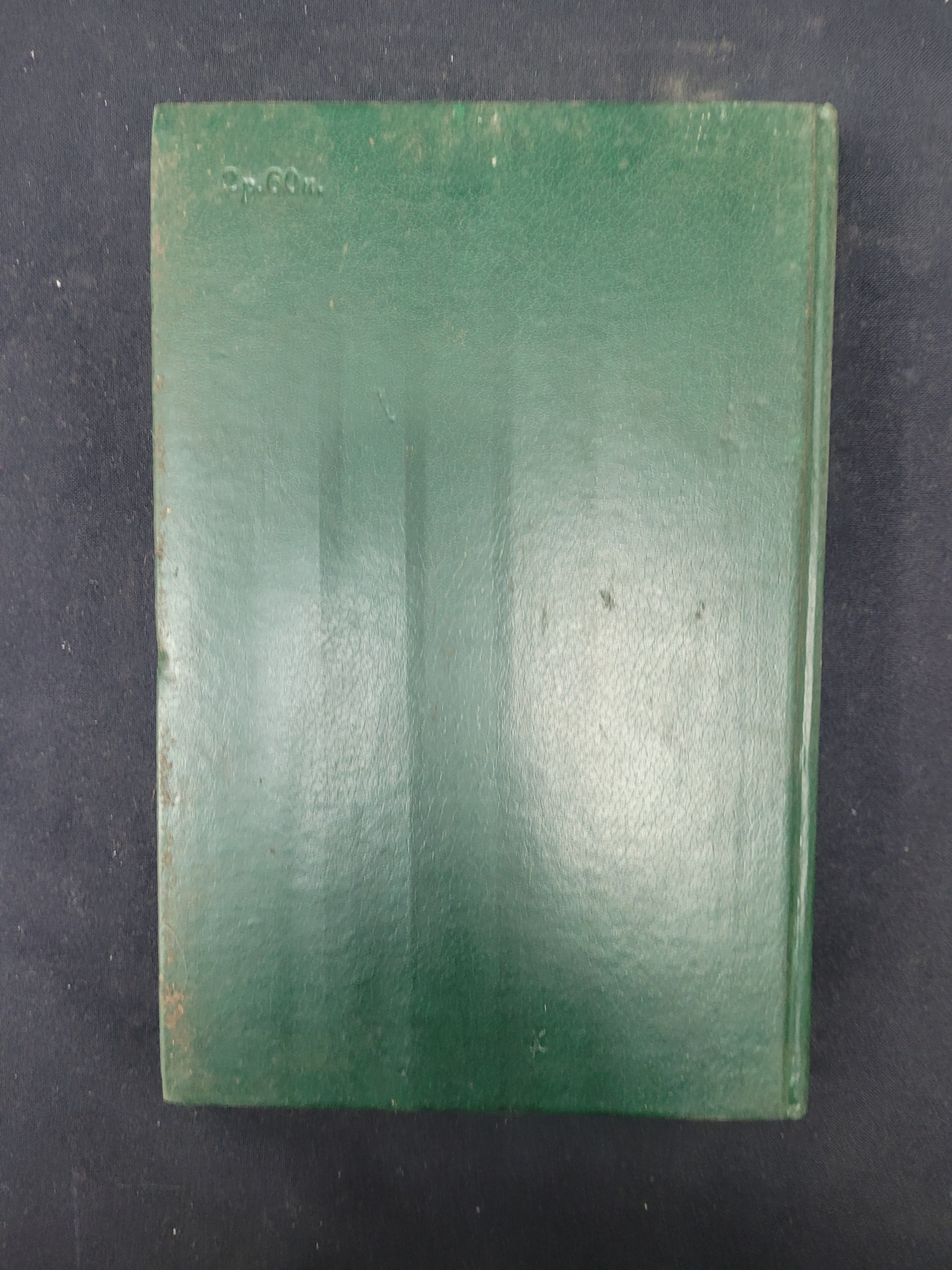 Картинка 3
