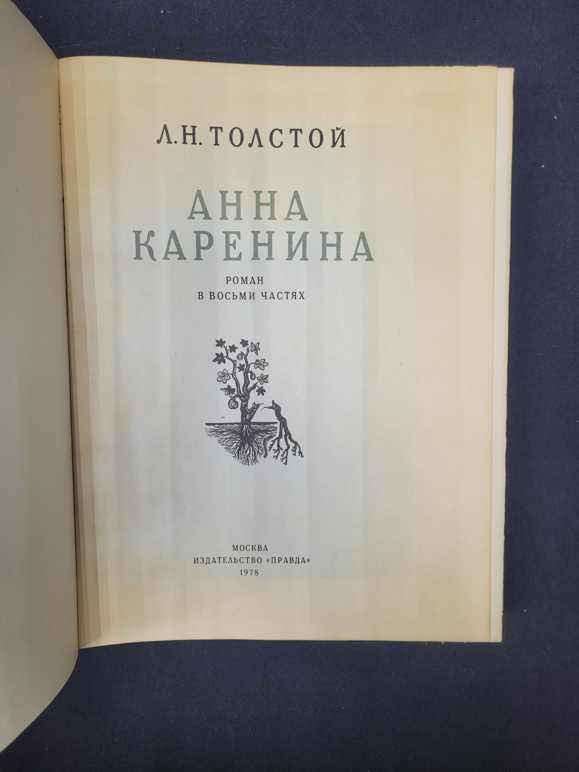 Картинка 4