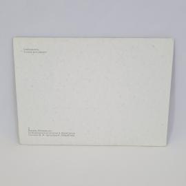 Картинка 2