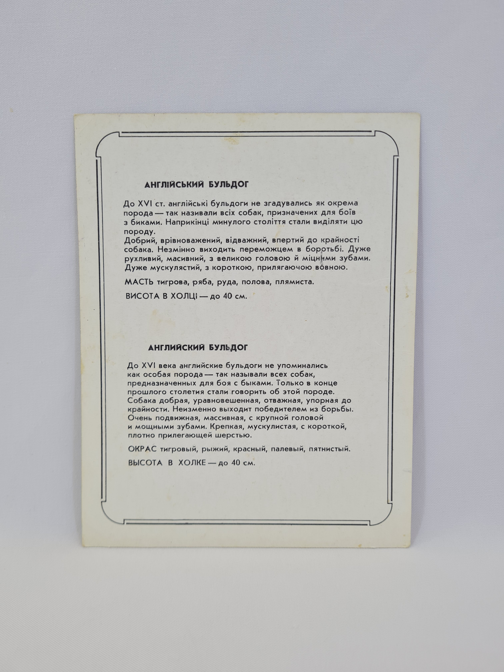 Картинка 2