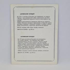 Картинка 2