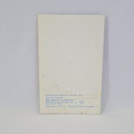 Картинка 3