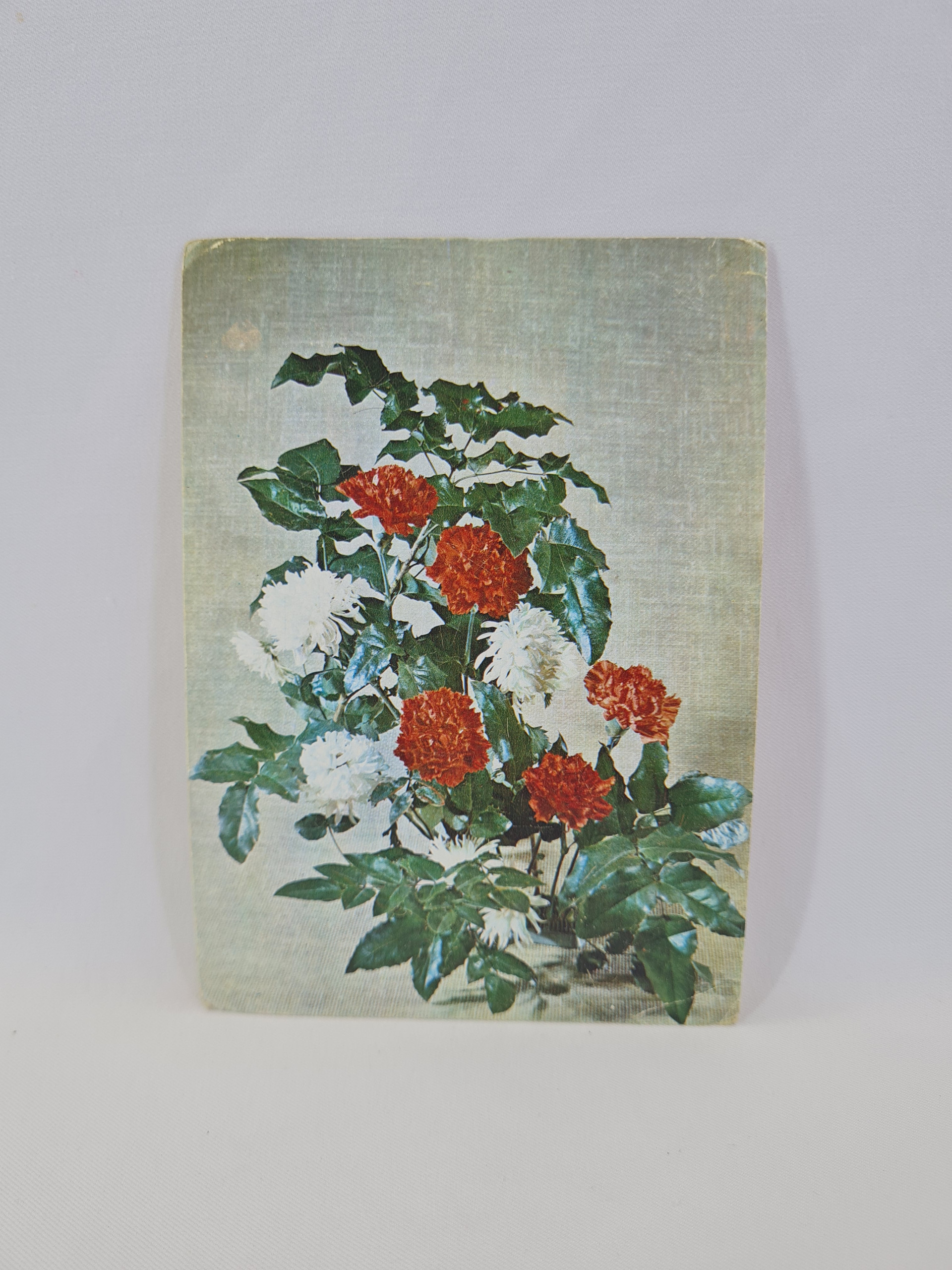 Картинка 1