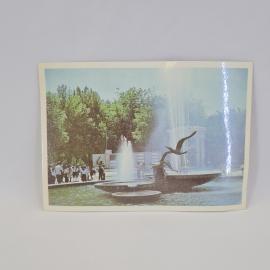 Картинка 1
