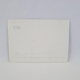 Картинка 2
