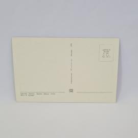 Картинка 2