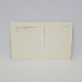 Картинка 2