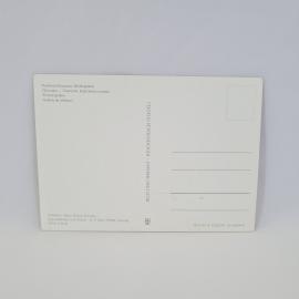 Картинка 2