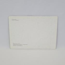 Картинка 2