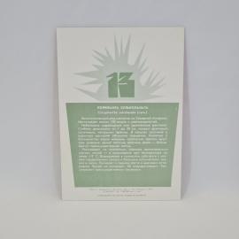 Картинка 2