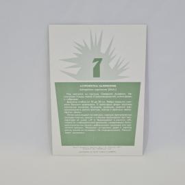 Картинка 2