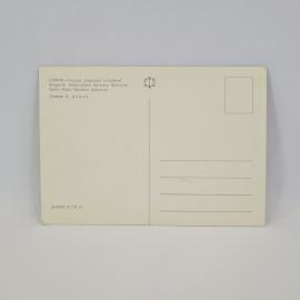 Картинка 2