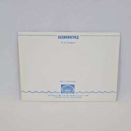 Картинка 2