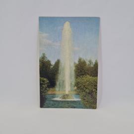 Картинка 1