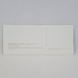 Картинка 2