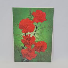 Картинка 1