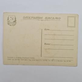 Картинка 2
