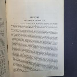 Картинка 4