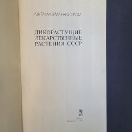 Картинка 4