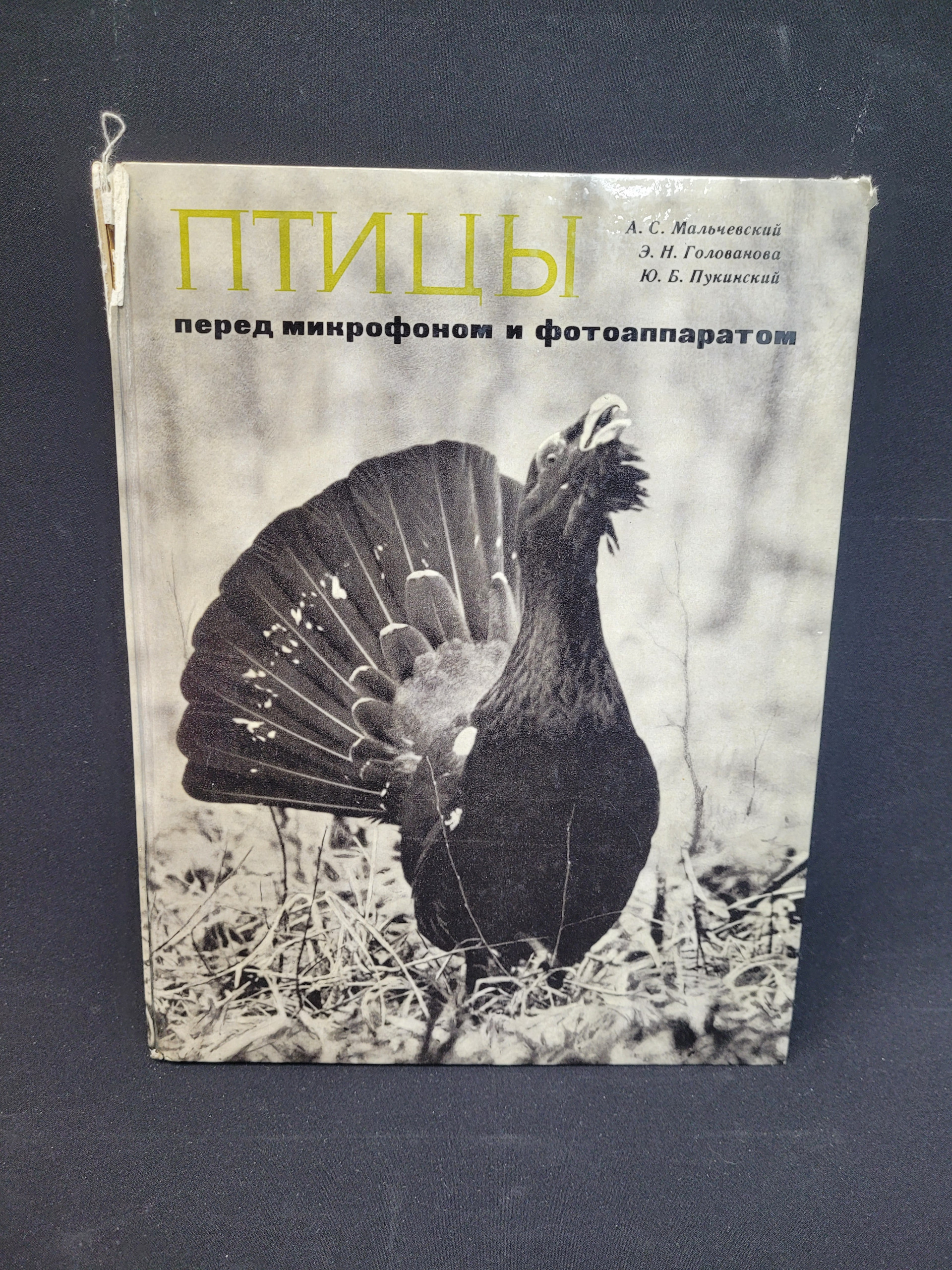 Картинка 1