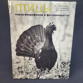 Картинка 1