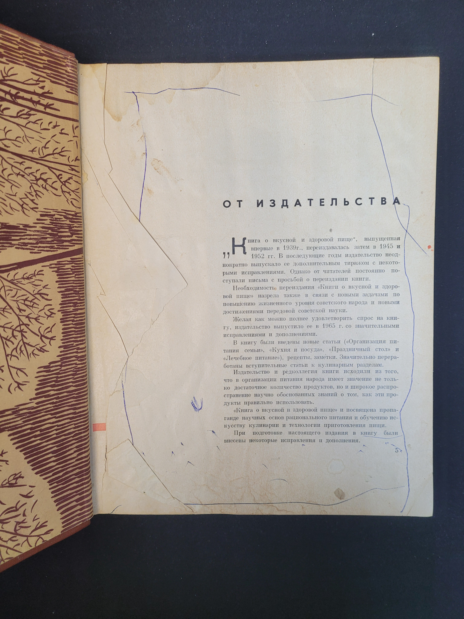 Картинка 4