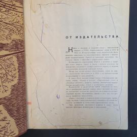 Картинка 4