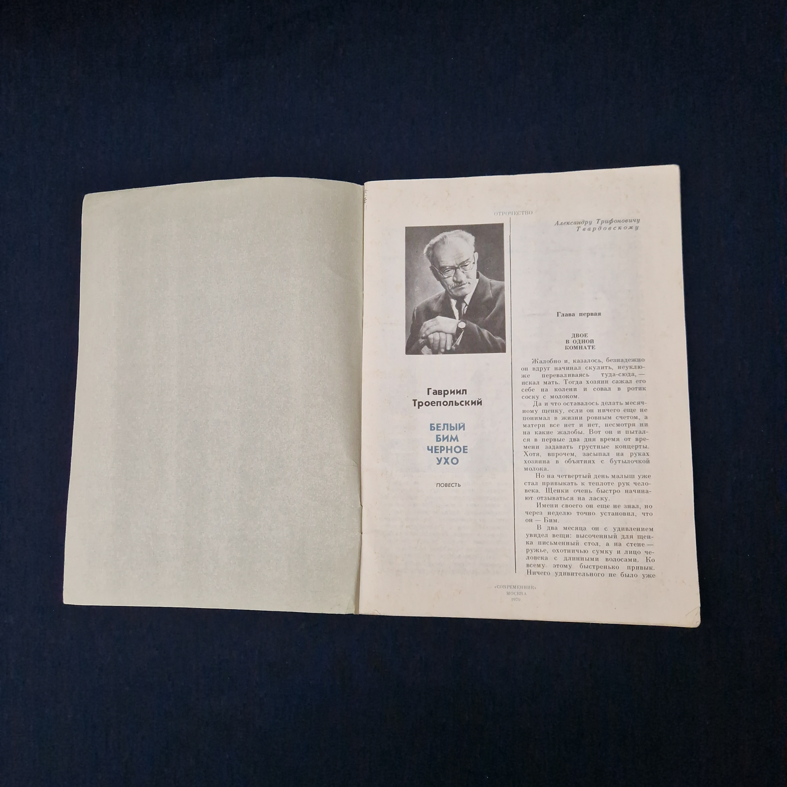 Картинка 3