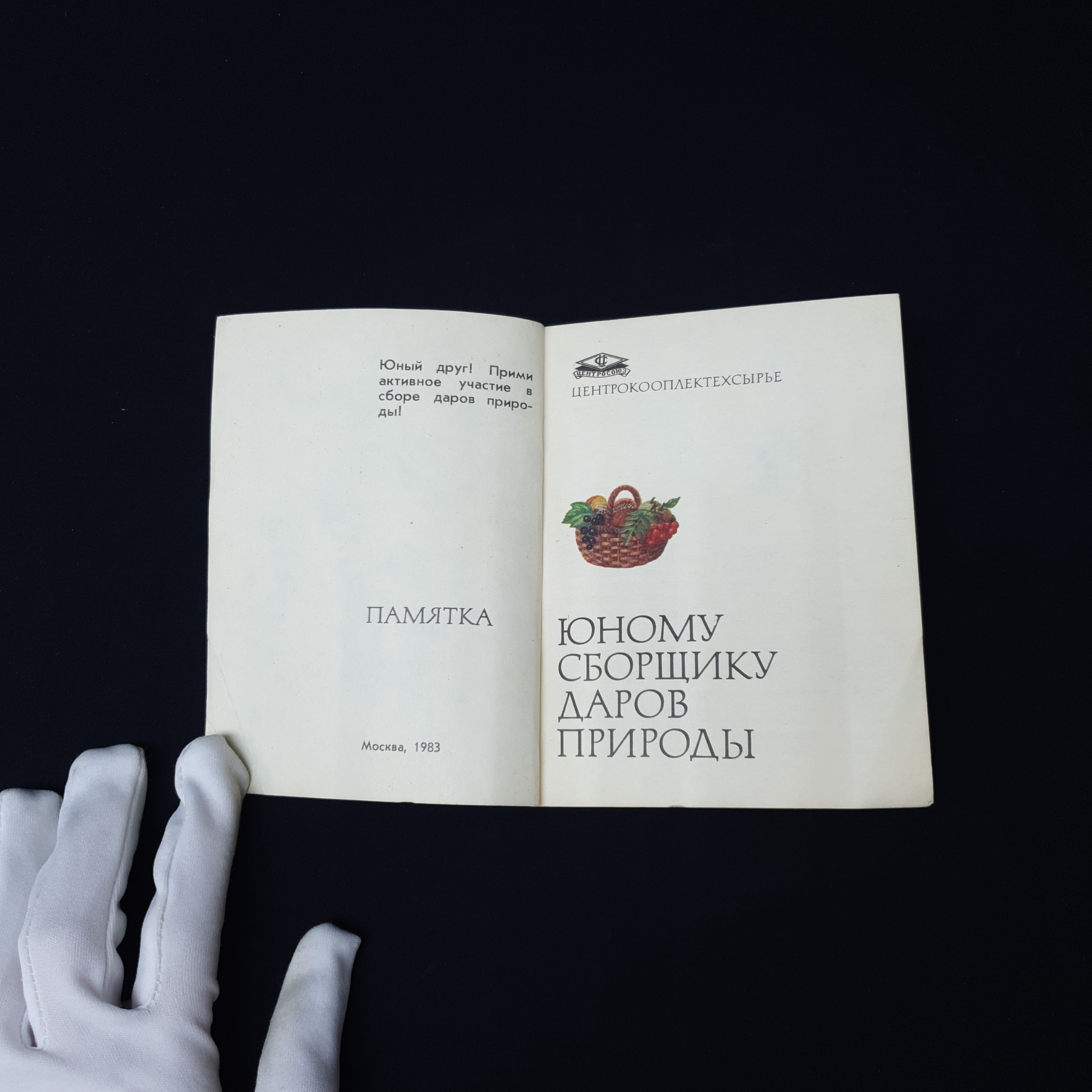 Картинка 3