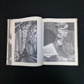 Картинка 6
