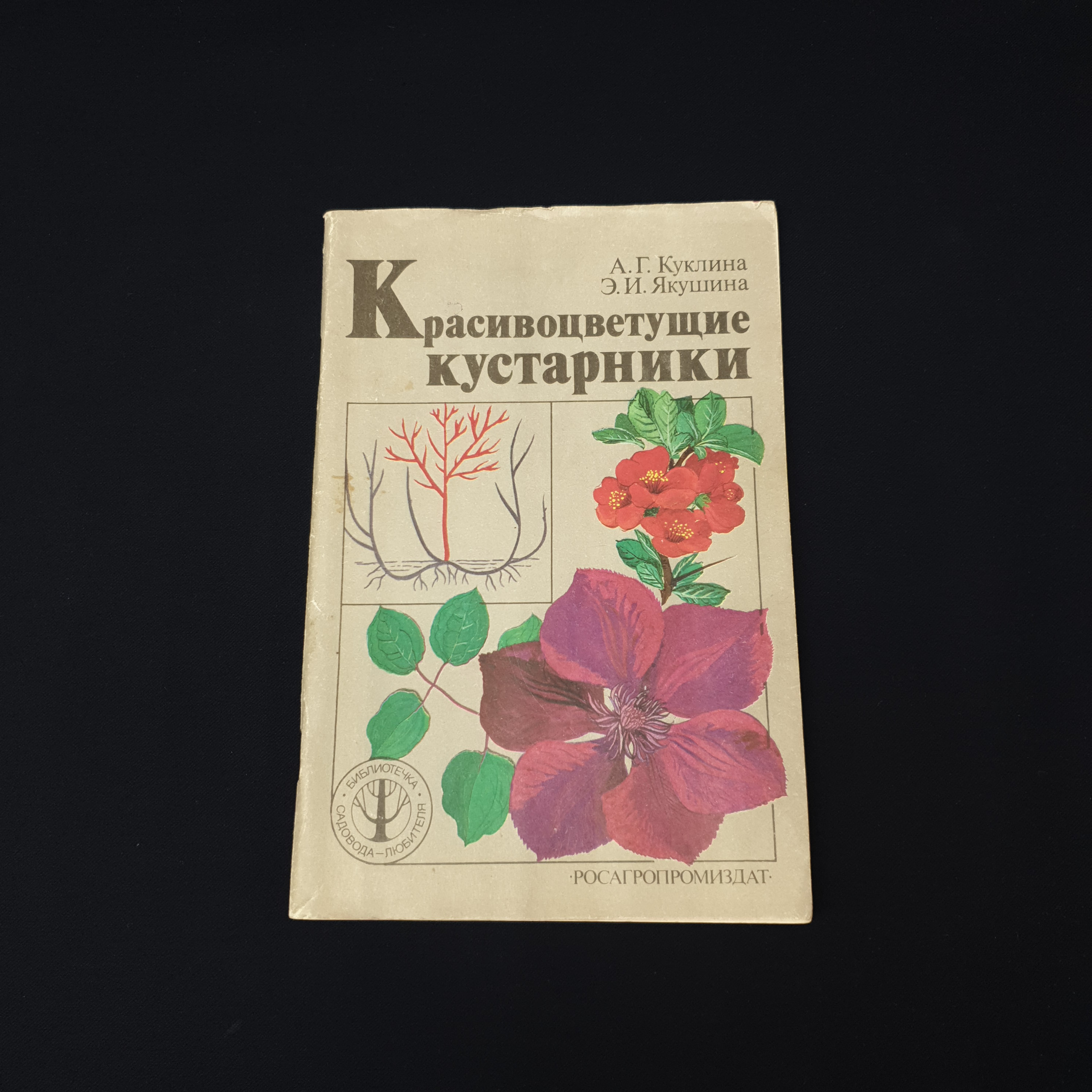 Картинка 1